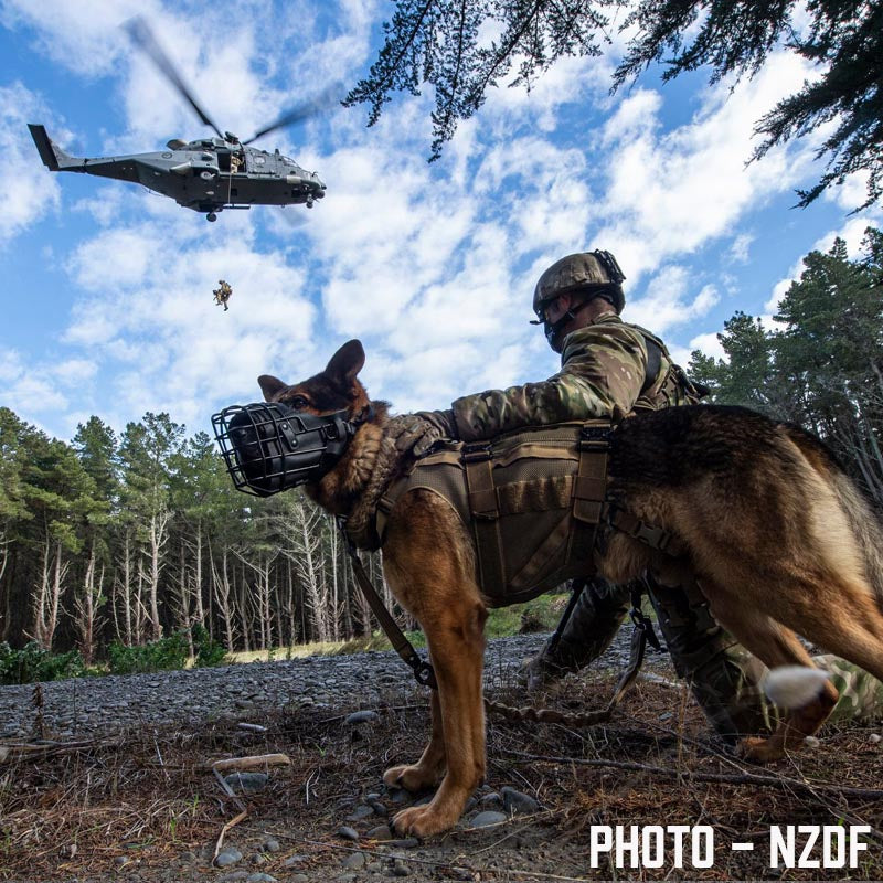 Tactical K9 Harness