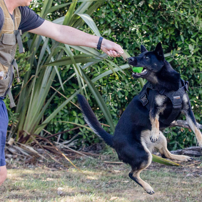 K9 Training Jacket