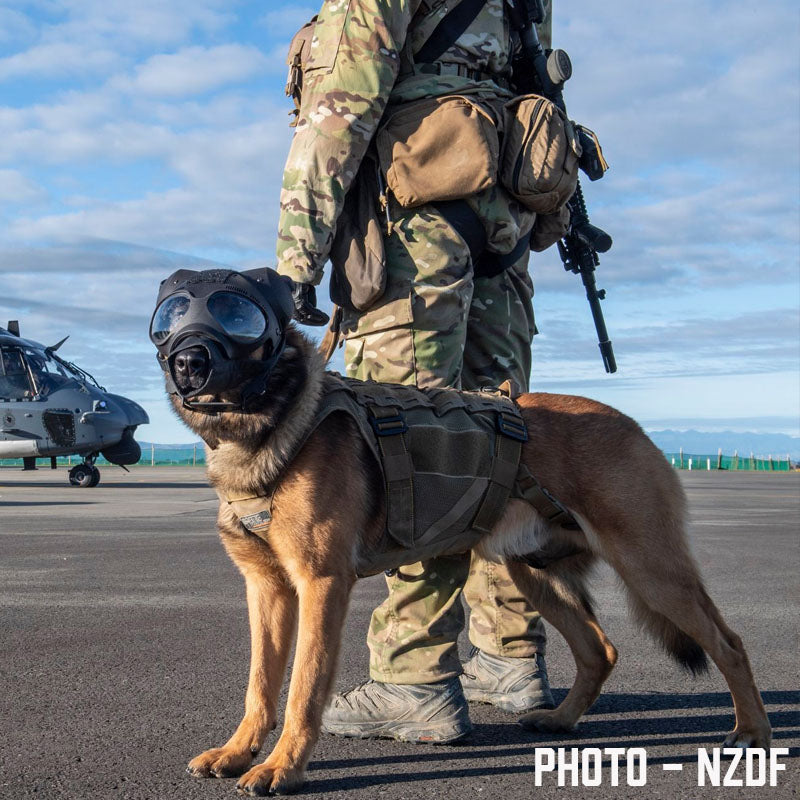 Tactical K9 Harness